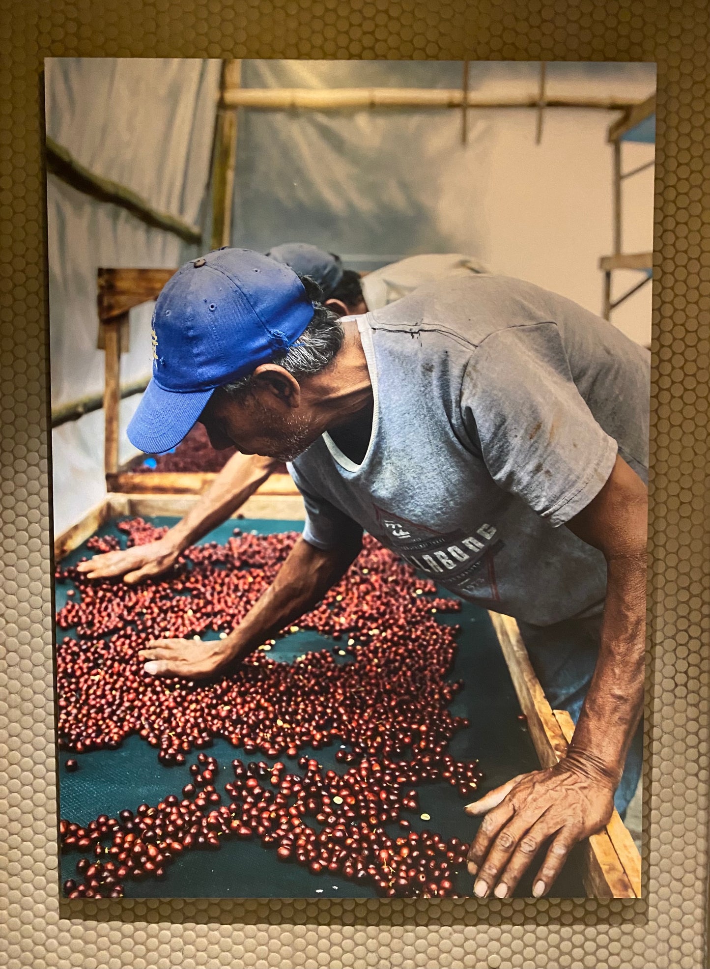 MERIDA 74 - Venezuela