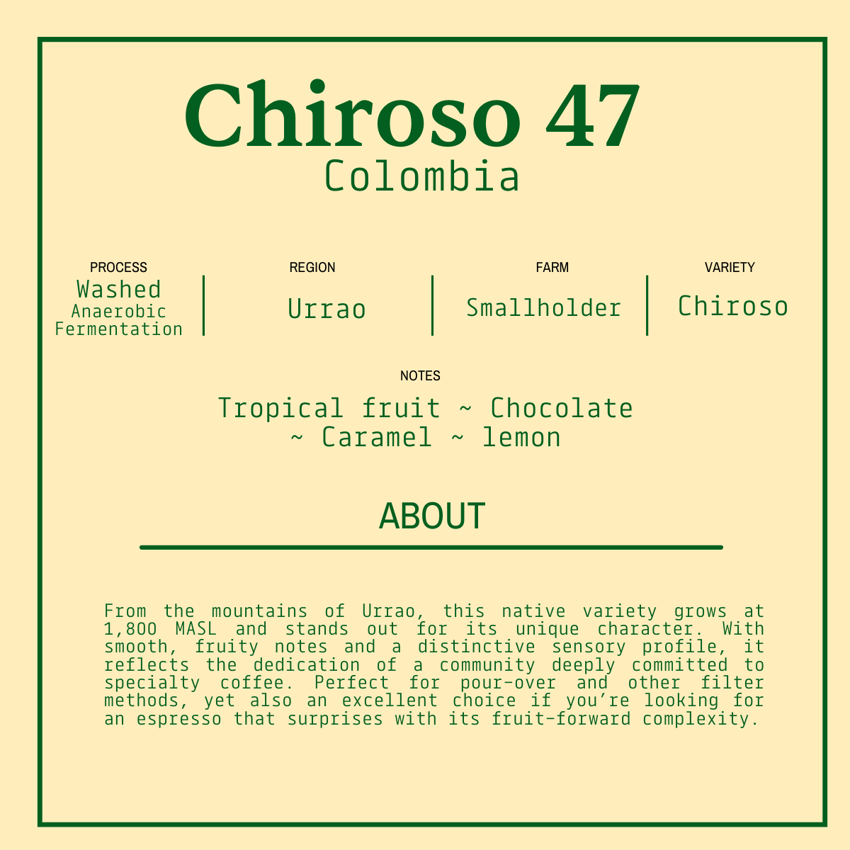 Coffee Subscription - Monthly