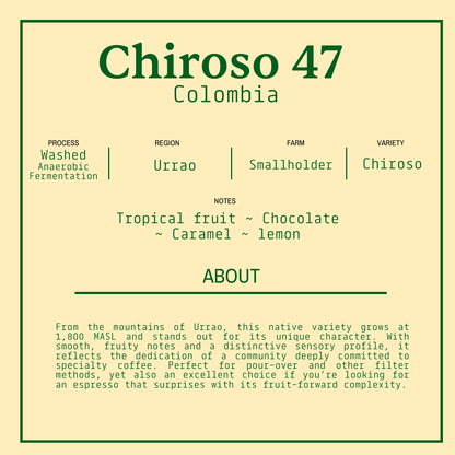 Coffee Subscription - Monthly