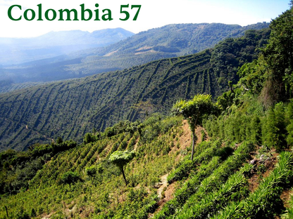 COLOMBIA 57 - Pereira