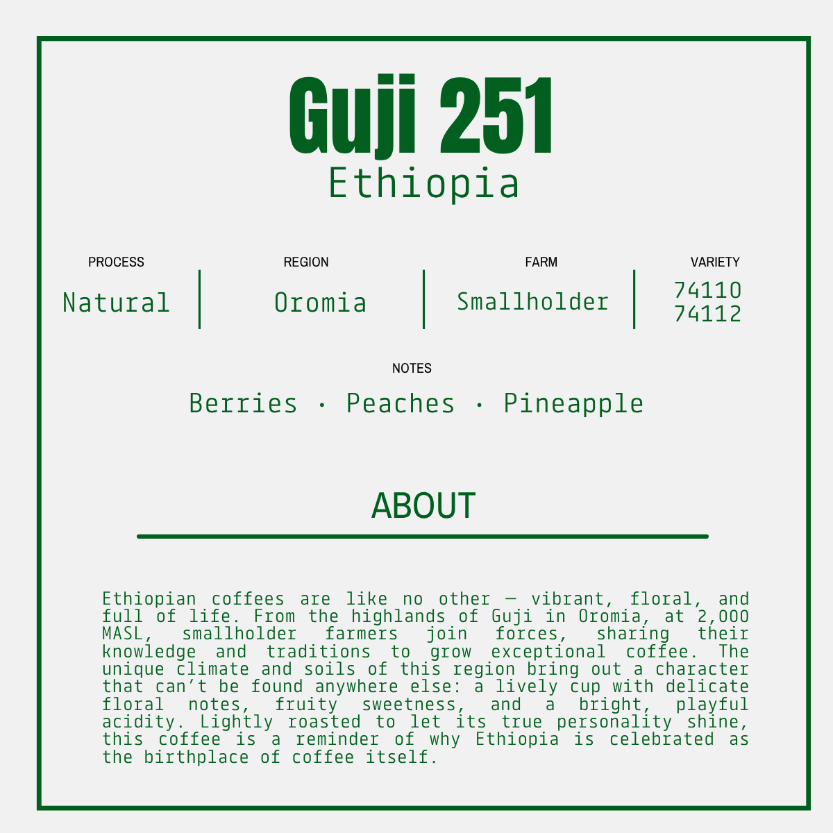 GUJI 251 - Ethiopia