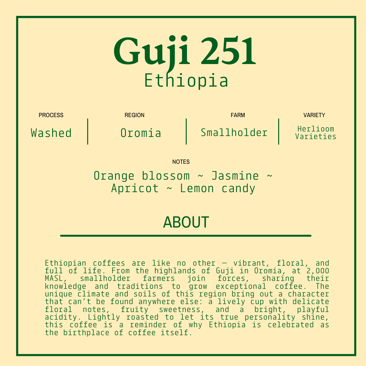GUJI 251 - Ethiopia