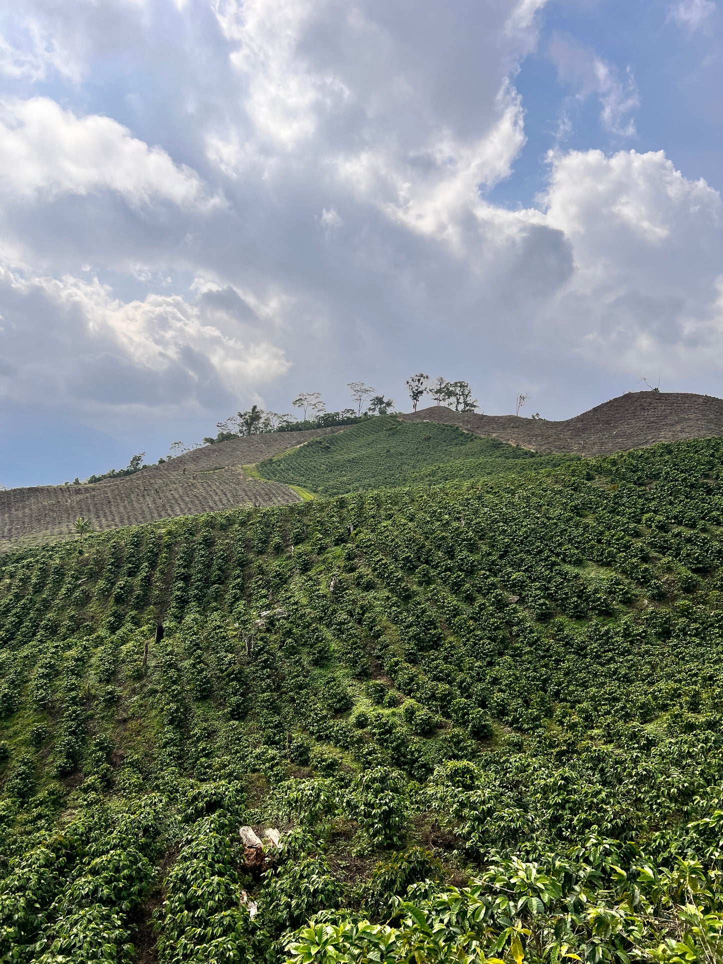 MERIDA 74 - Venezuela