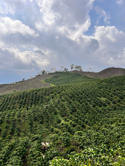 MERIDA 74 - Venezuela